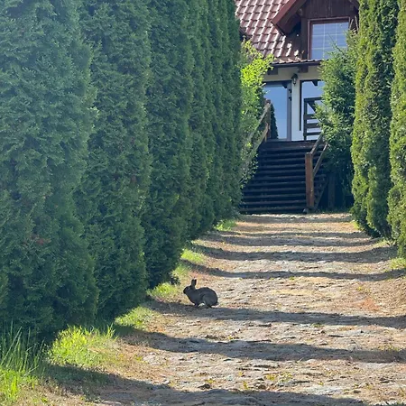 Nad Stawami بيت ضيافة *